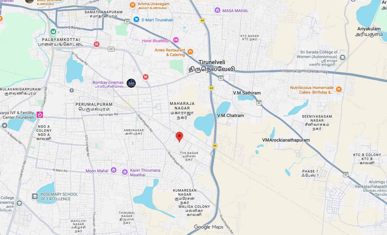 Street map of Tirunelveli, Tamil Nadu